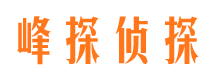 惠民市调查取证